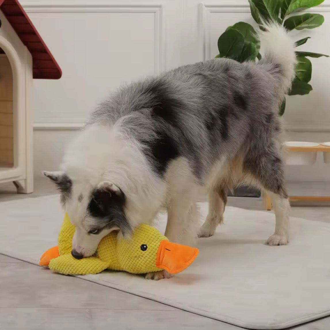 Plüsch-Schlafente für Hunde