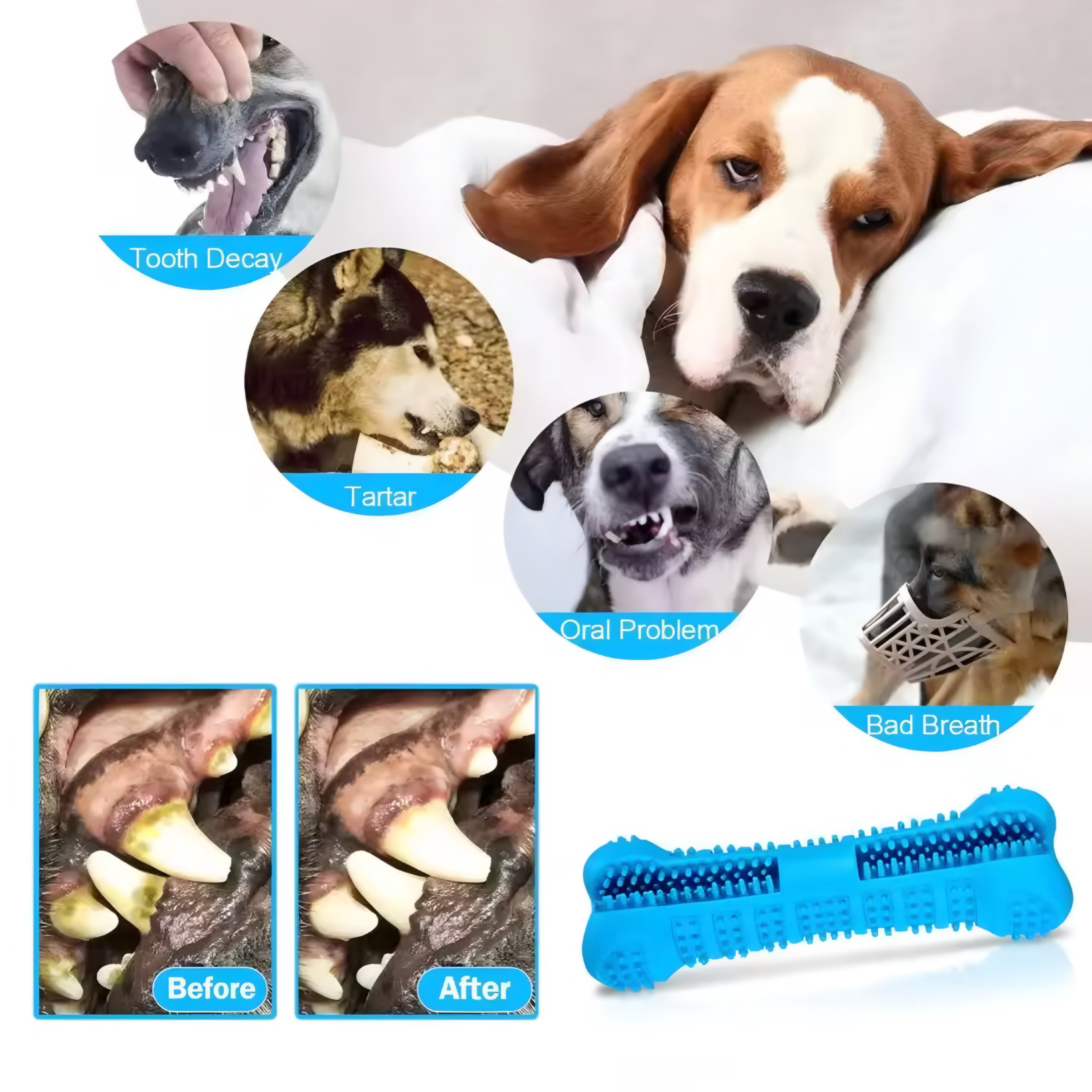 360° Hunde-Zahnbürste aus weichem Gummi & Kauspielzeug